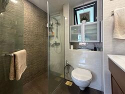 Blk 1C The Pinnacle@Duxton (Bukit Merah), HDB 4 Rooms #566482171